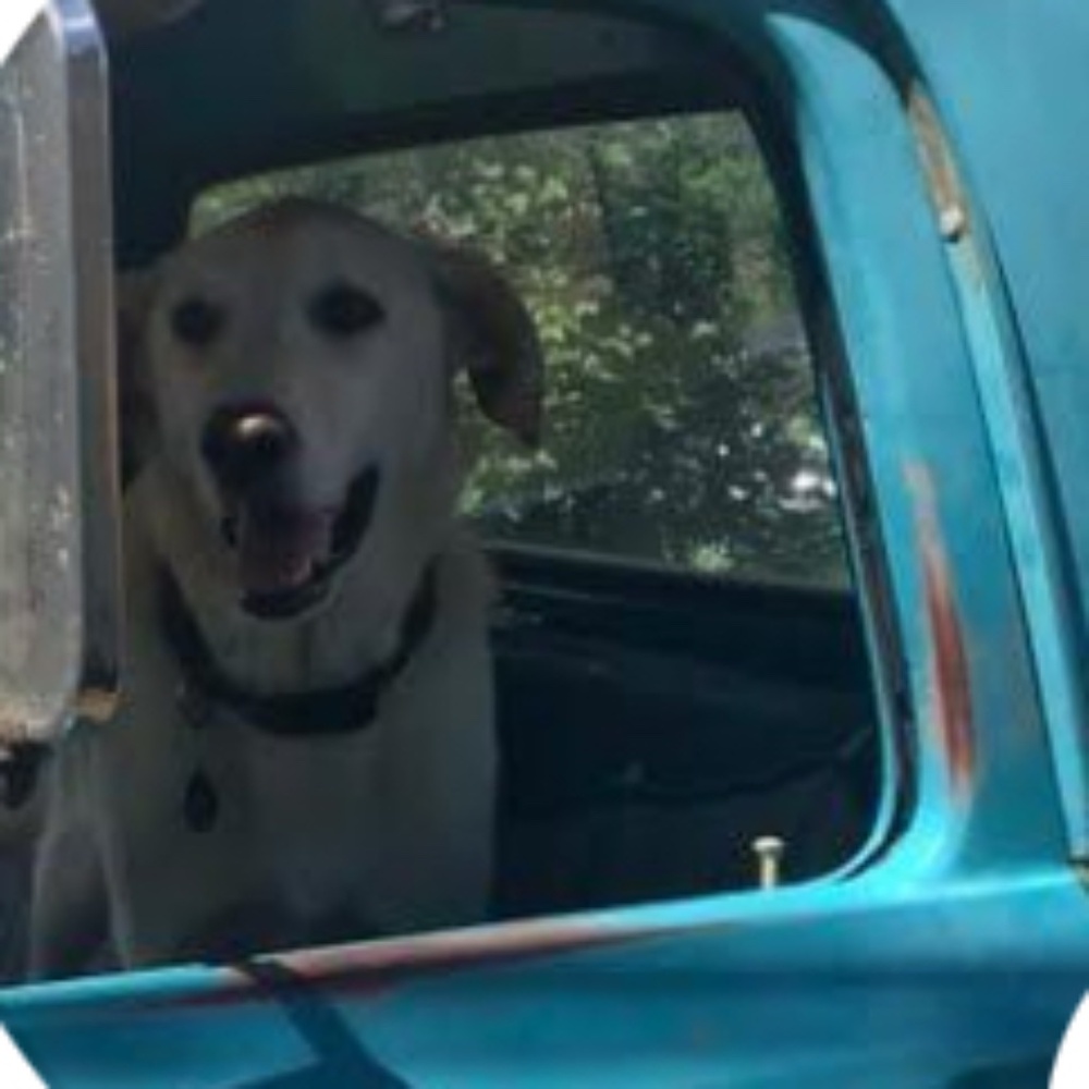 Meet your Posher, Sluggo